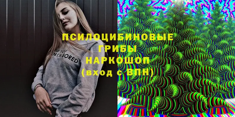 Псилоцибиновые грибы мицелий  Бобров 